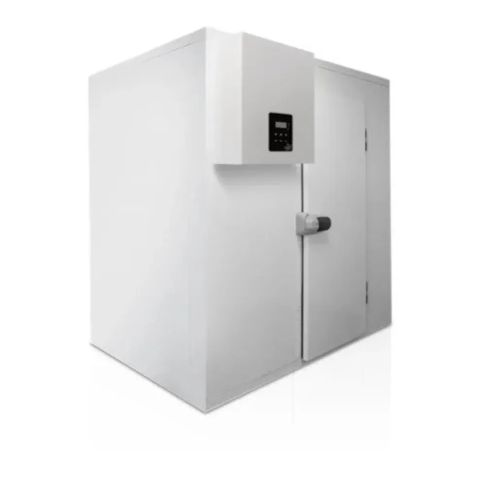 Versatile Cold Storage Room 11.6 m³