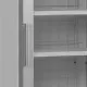 440L Showcase Freezer in Silver