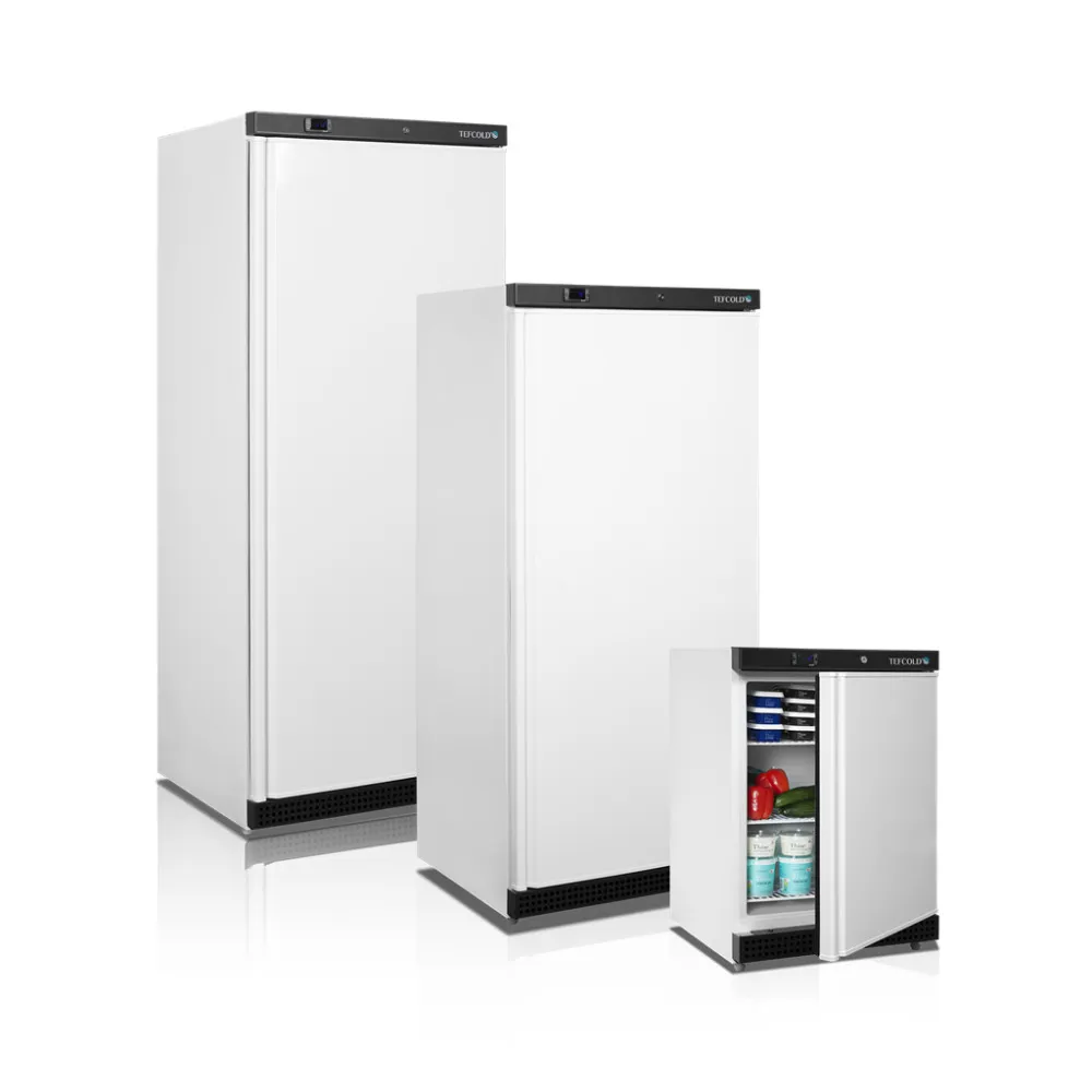 Professional 555L Freezer with Convenient Baskets