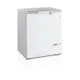 Commercial Ice Cream Chest Freezer FR205SL