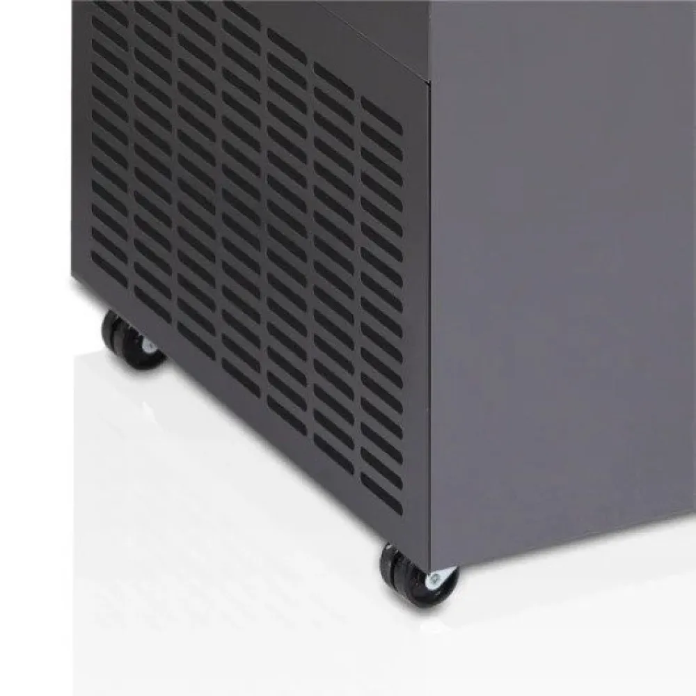 Elegant Ice Cream Display Freezer 223L