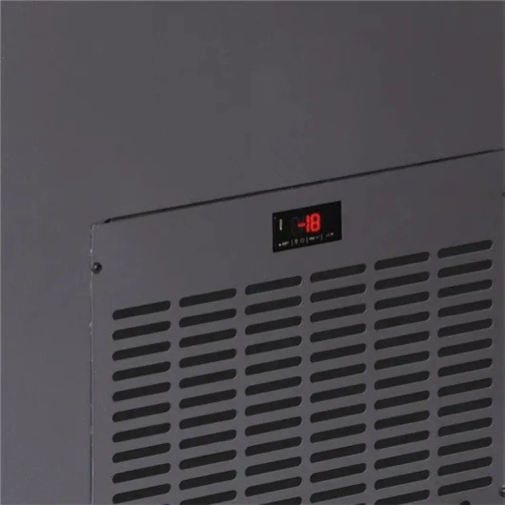 Elegant Ice Cream Display Freezer 223L