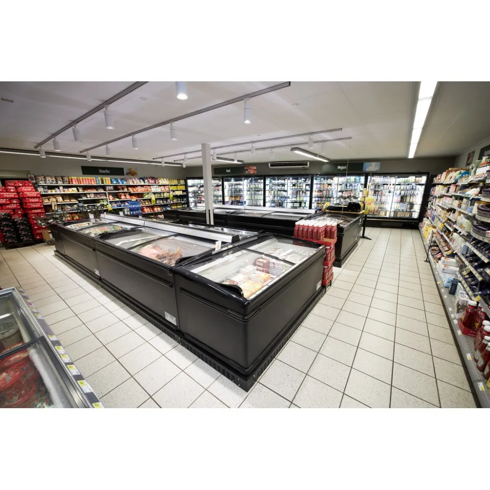 Vitrine Congélateur 422L pour Supermarché Vitrine Congélateur 422L pour Supermarché