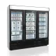 Professional 1657L Showcase Freezer