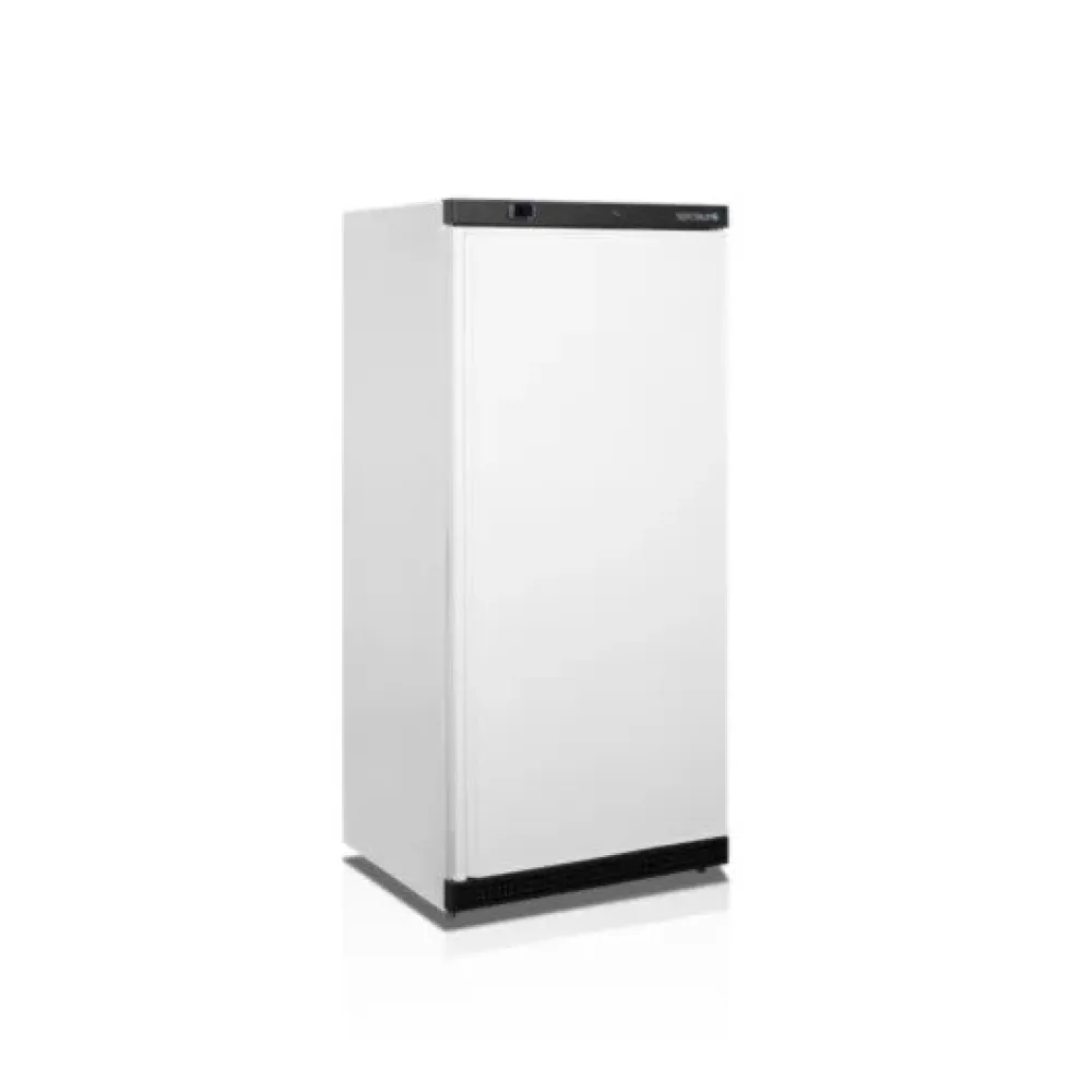 Premium 420L Freezer with Advanced Features