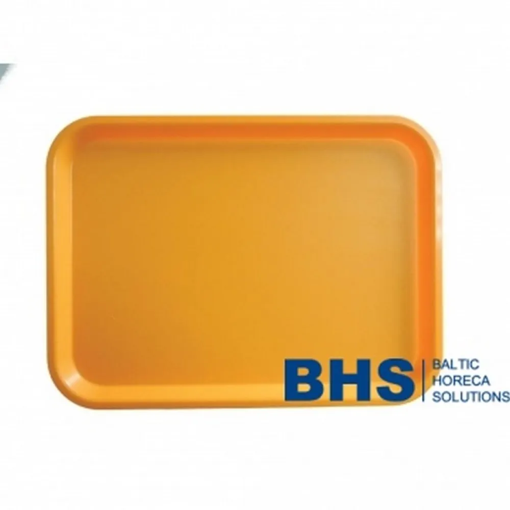 Elegant Steel Serving Tray 415x305 mm