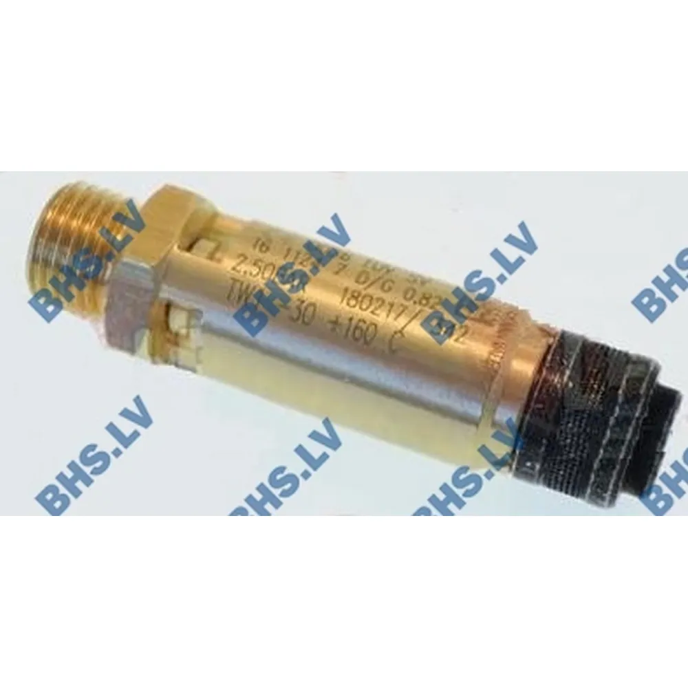 Vožtuvas Saugumui 2,5 bar 1/4G