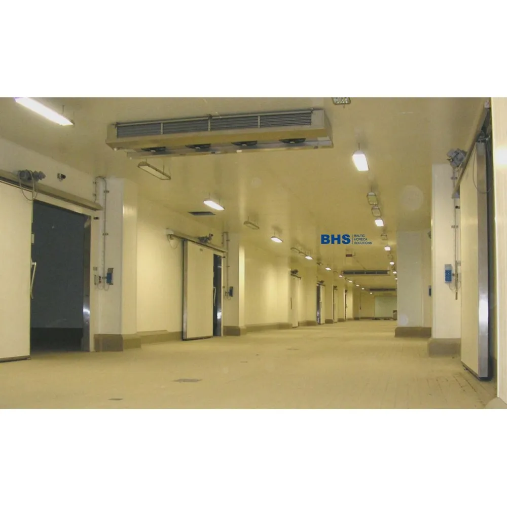 Professional Freezer Unit - 9.14 m³ Capacity