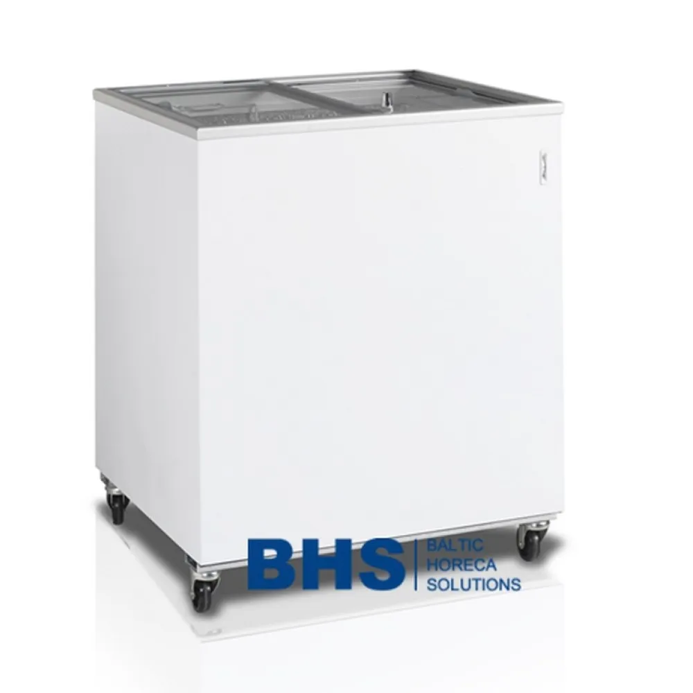 Professional Ice Cream Freezer 165 Liters
