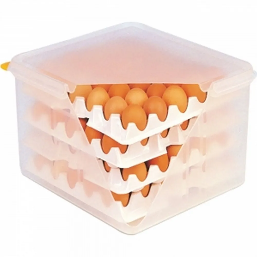 Coffrets à œufs en carton recyclé
