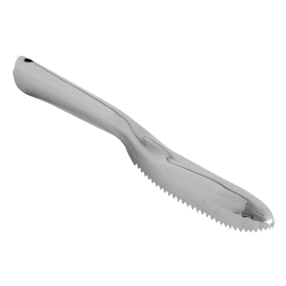 Zivju zvīņu skrāpis 23.5 cm no nerūsējošā tērauda