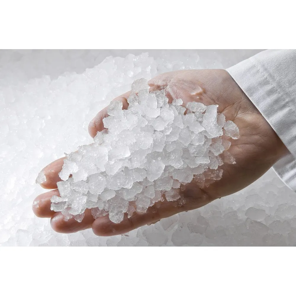 CD55 Ledus ģenerators - Jūsu ideālais partneris ledus ražošanā