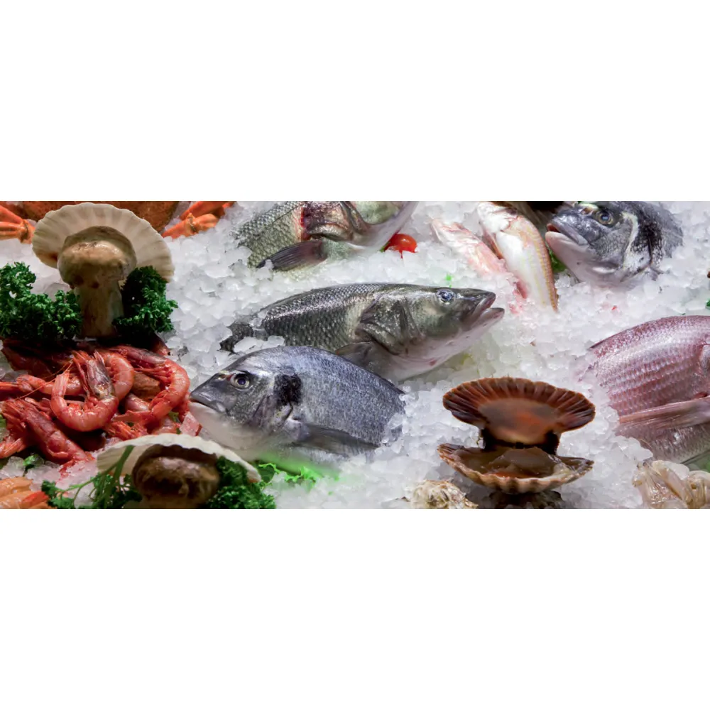 Générateur de glace GR455