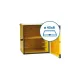 Premium Thermal Pizza Carrier - 45cm Capacity