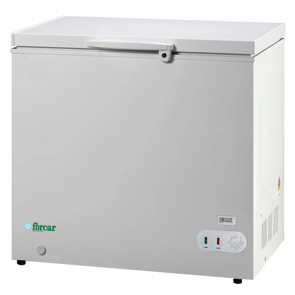 Commercial Grade Eco Line G-BD350S Deep Freezer