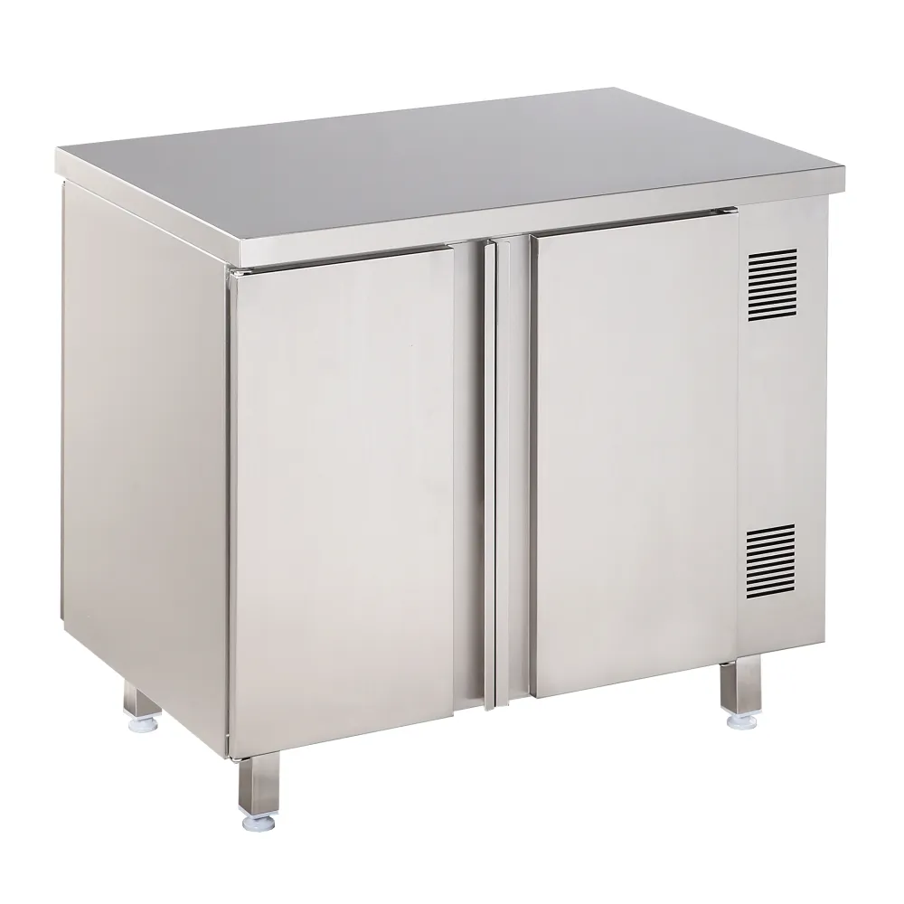 Double porte armoire chauffante 900 x 600 mm