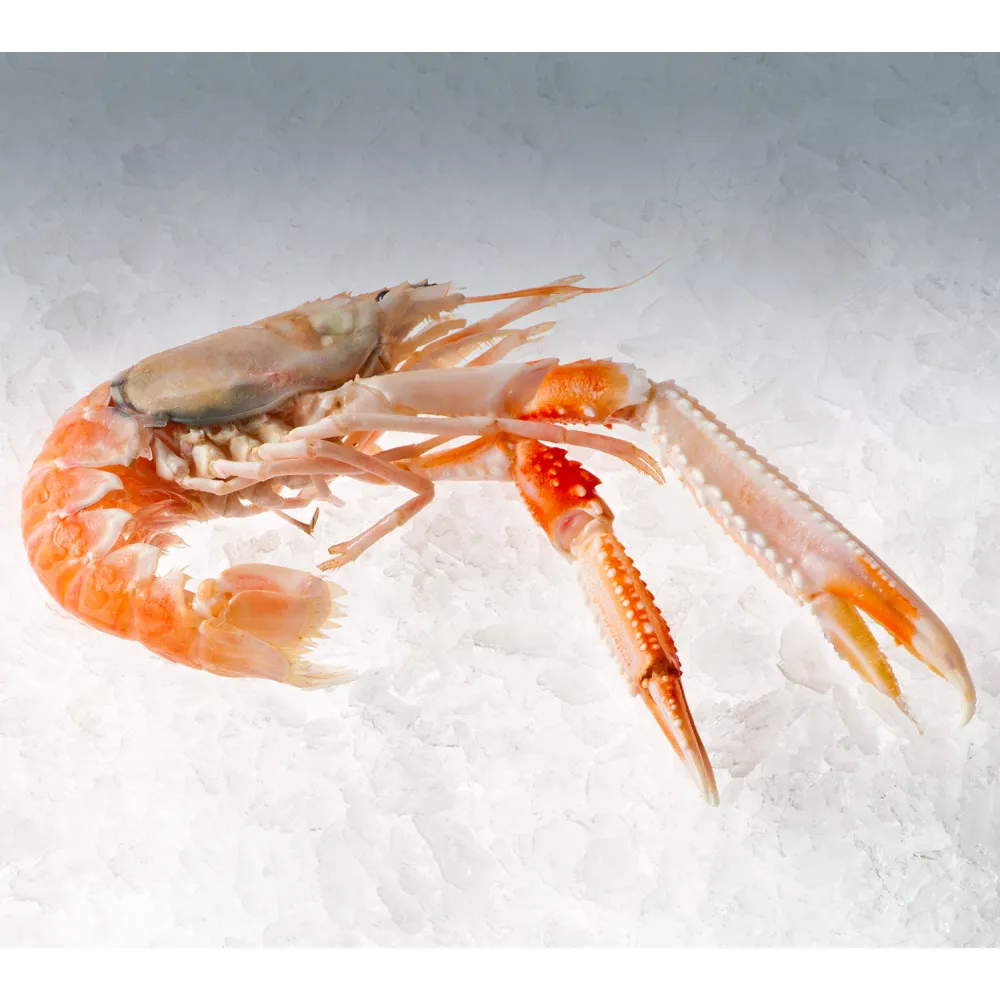 Генератор льда KFE1500 - идеальное решение для вашего бизнеса