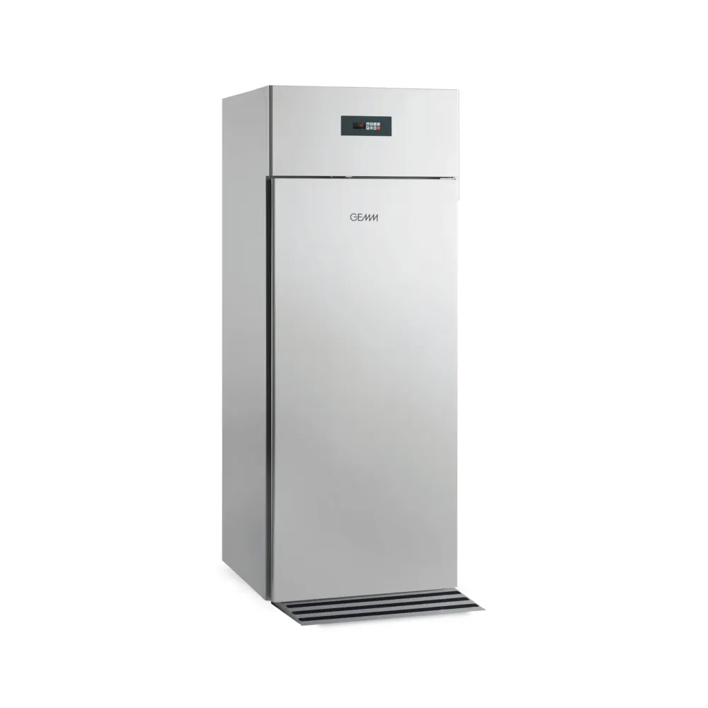 RIB/01 Roll-In Freezer for Culinary Professionals
