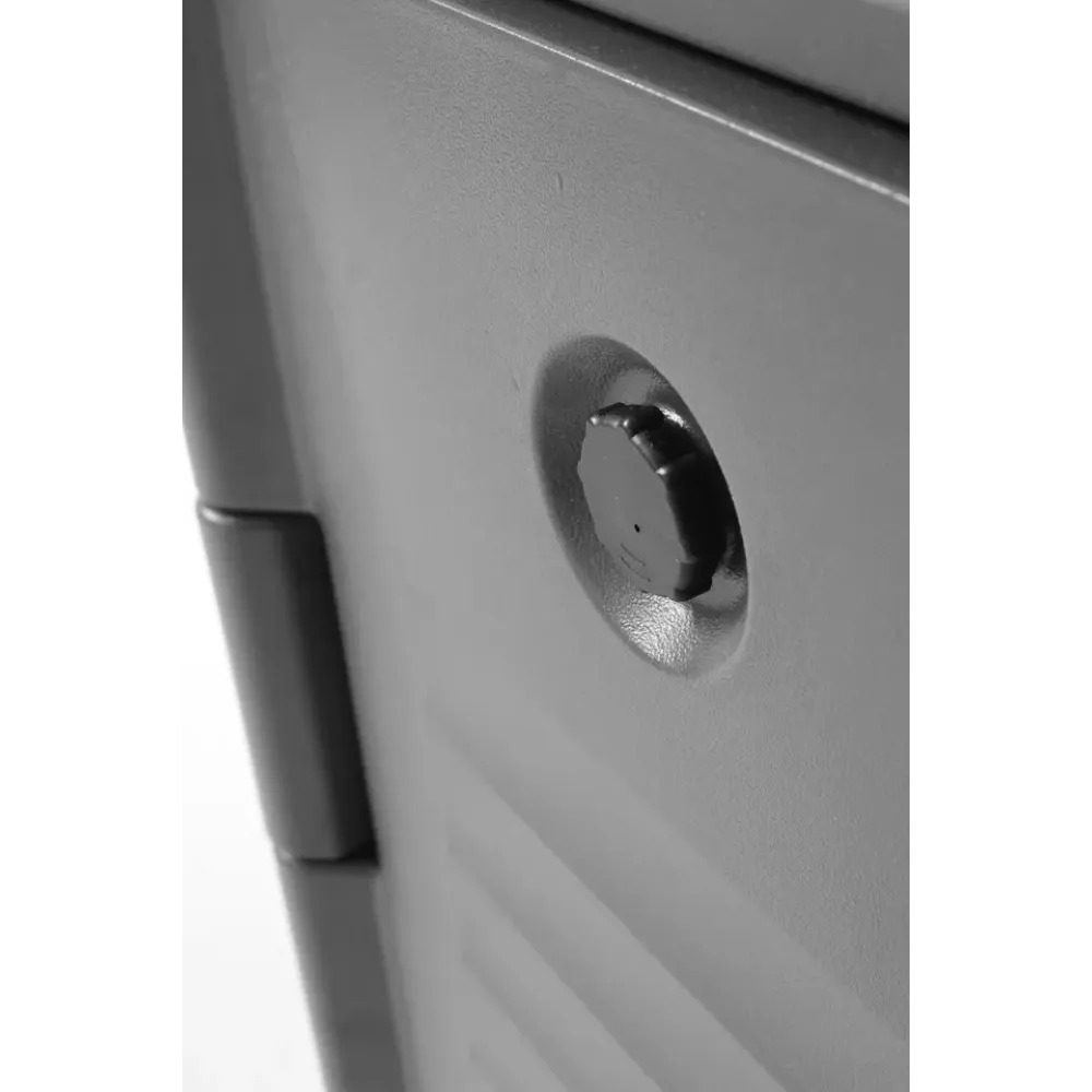 Profesionalus GN termokonteineris 477x680x(H)620 mm