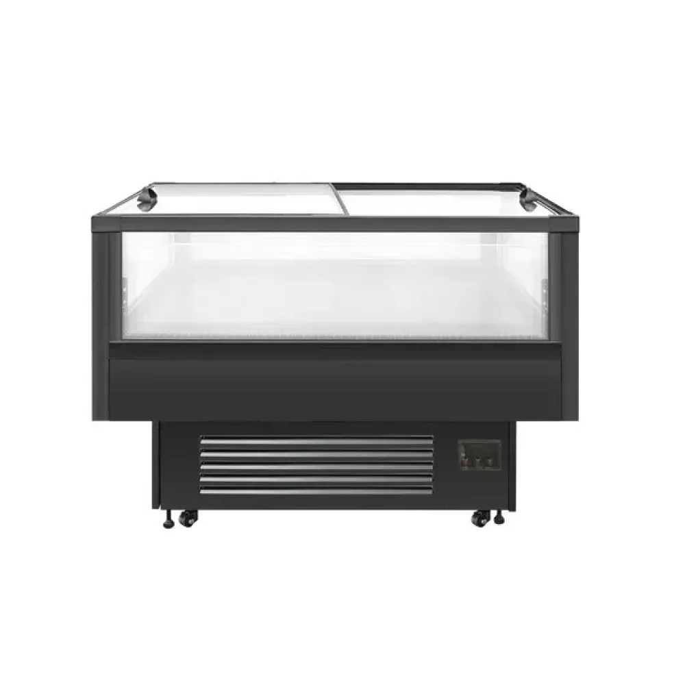 Impulsinė šaldymo vitrina 230 L IMC1000BD (673113IMC1000BD)
