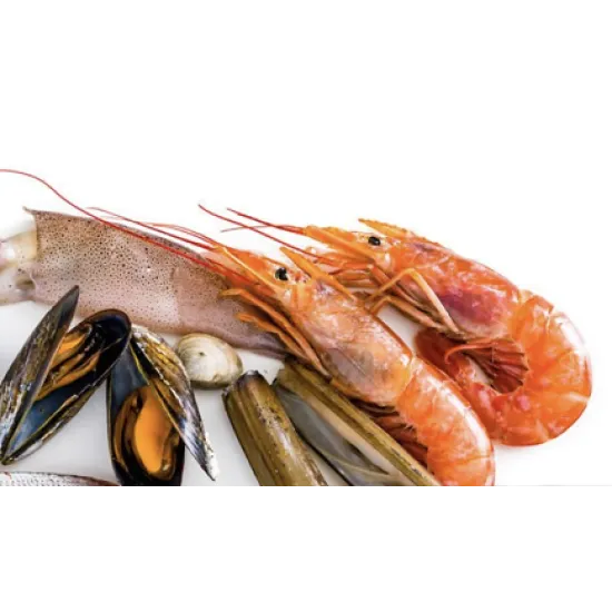 Ledus ģenerators SPLIT