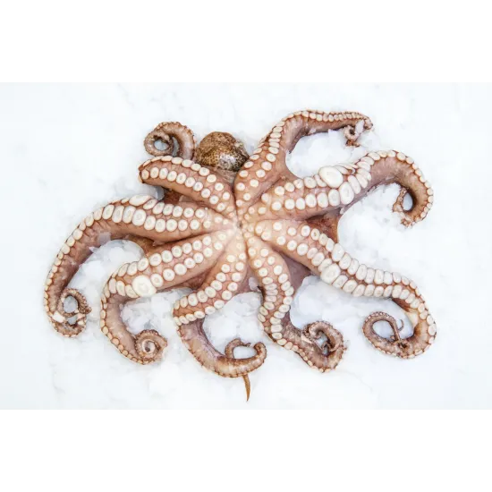 Ledus ģenerātors GR / KS GRANULAR ICE