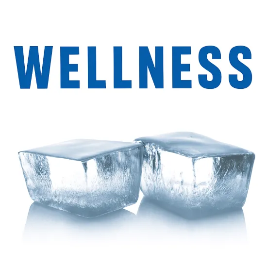 Ledus ģeneratori GRN / GRF / KFE ICE WELLNESS