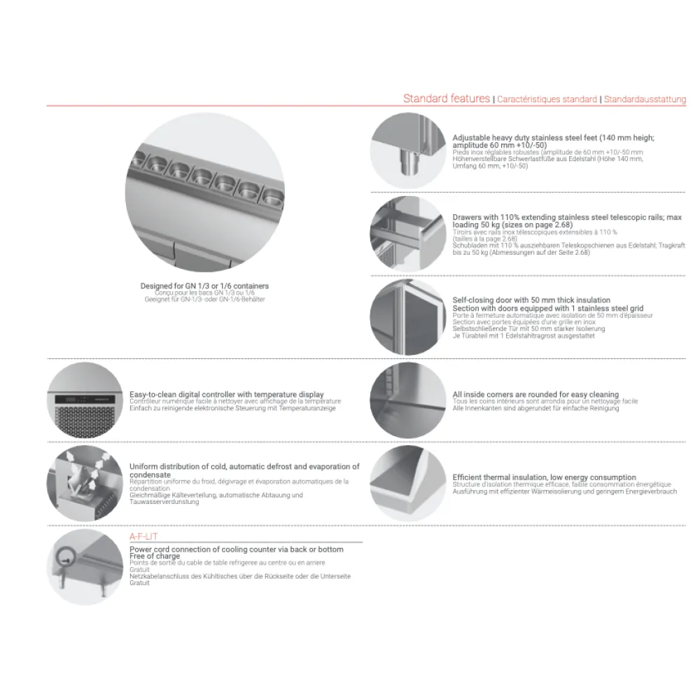 Profesionalus šaldymo stalas P101