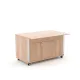 Module de Service Athena N3 avec Porte Module de Service Athena N3 avec Porte