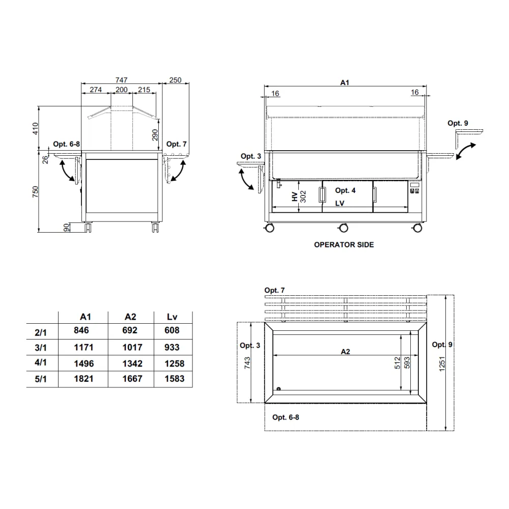 Children's Water-Heated Buffet Table