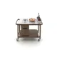 Elegantais Arianna F1 Flambē Ratiņi