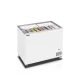 Ledų šaldiklis IC301SC