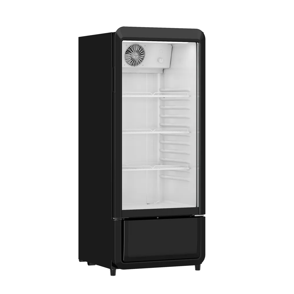178L Stiklinis Šaldytuvas DC200BD