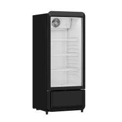 Ledusskapis 178L DC200BD