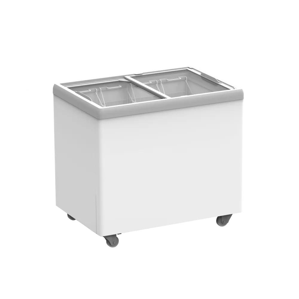 Professional Ice Cream Chest Freezer 223L