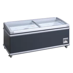 Parduotuvės vitrina 430L SIF600ADGC