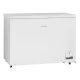Krūtinės šaldiklis 299L CF300WD (01124210000CF300WD)