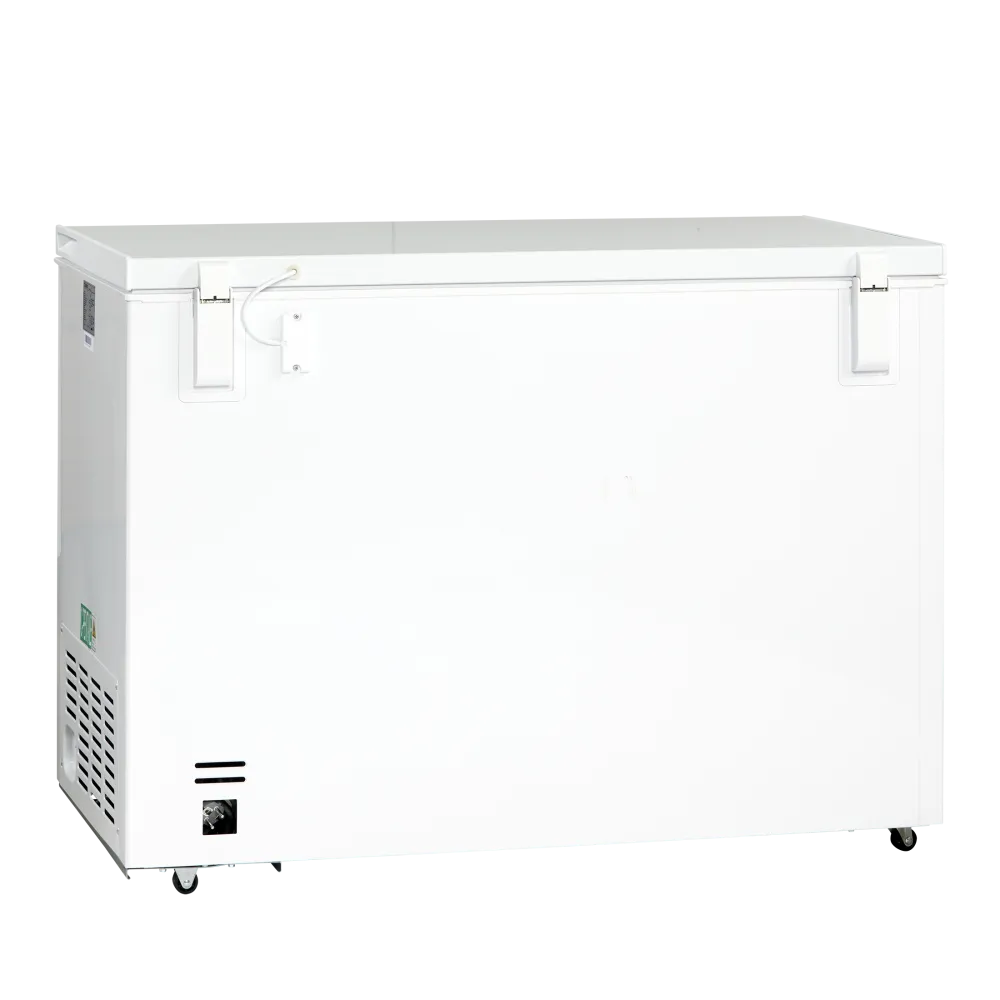 Krūtinės šaldiklis 299L CF300WD (01124210000CF300WD)